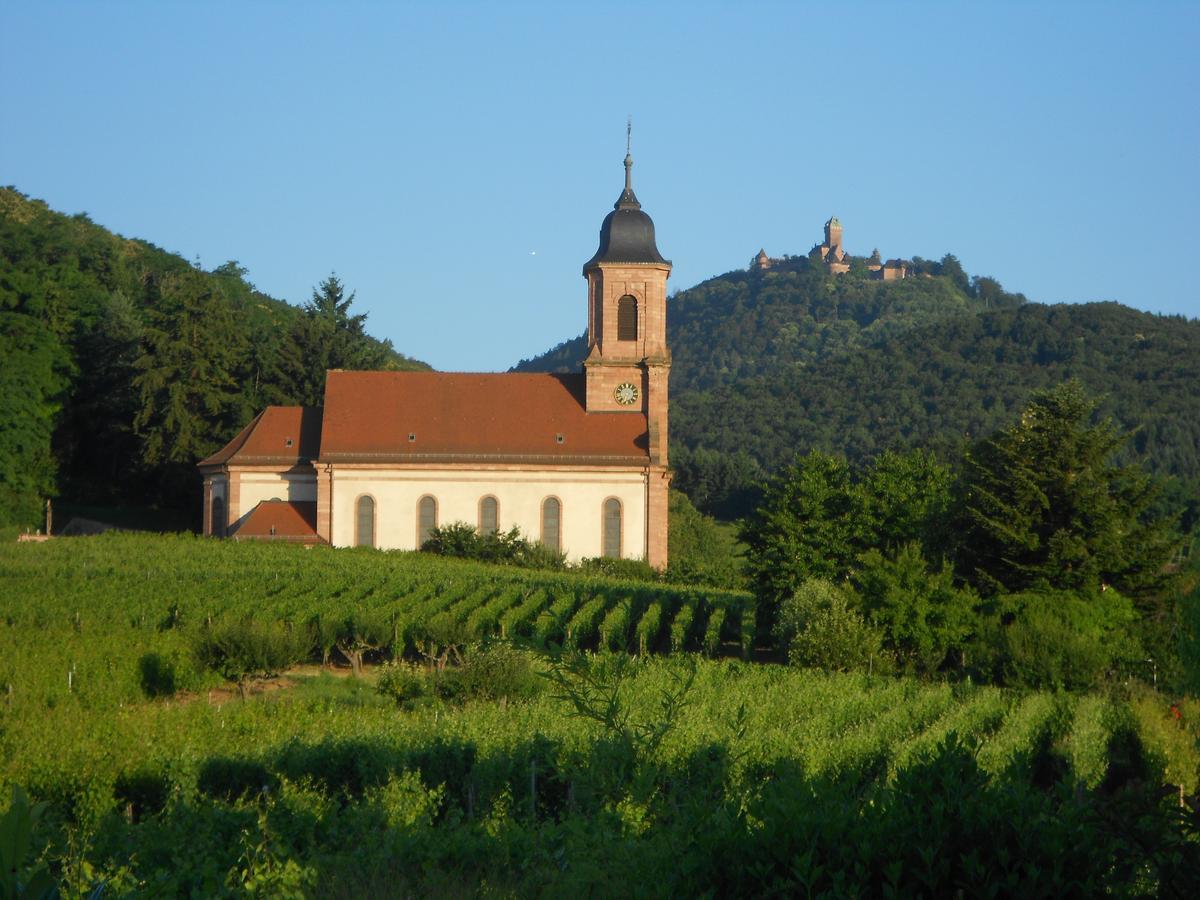 לינה וארוחת בוקר אורשווילר Au Coeur Du Vignoble מראה חיצוני תמונה